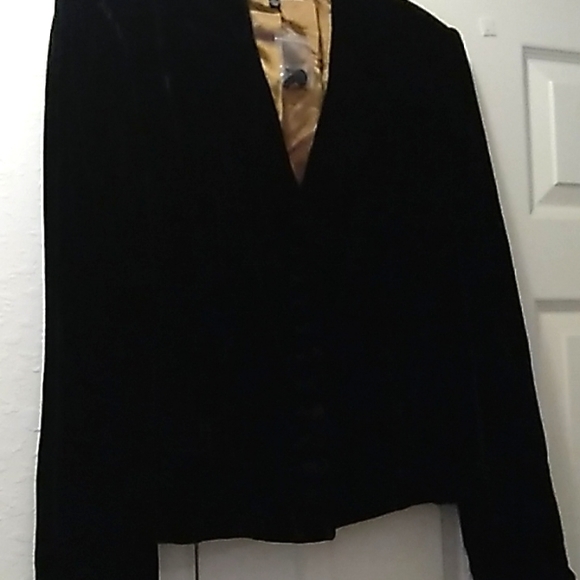 J. Peterman 2-pc Velour Jacket & Iridescent Renaissance Silk Skirt - Picture 4 of 16